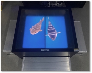 平博·(pinnacle)官方网站