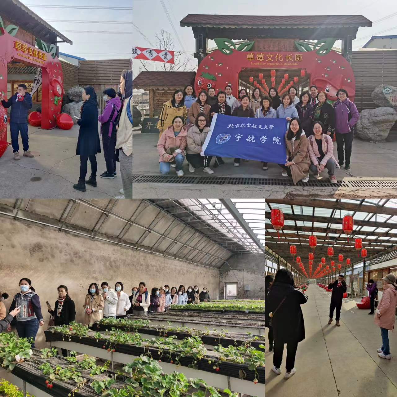 平博·(pinnacle)官方网站